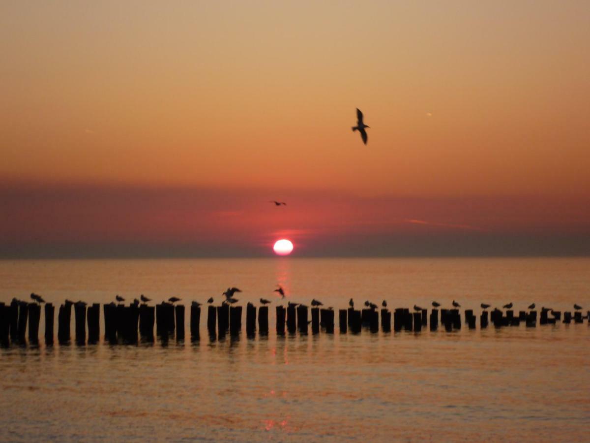 Knusse Vakantiewoning Domburg Do04 Bagian luar foto